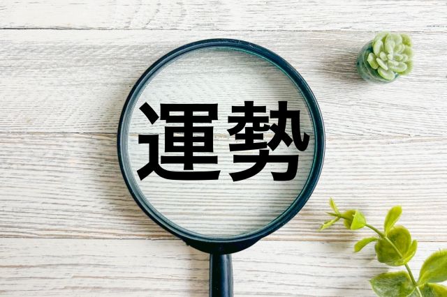 犬の名前の姓名判断で運気アップ！幸運を呼ぶ画数と風水を取り入れた名付けガイド